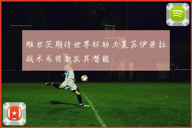 维尔茨期待世界杯助力复苏伊劳拉战术或将激发其潜能